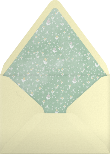 Precious Package - Paperless Post Envelope