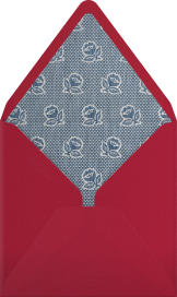 Chenille - Schumacher Envelope