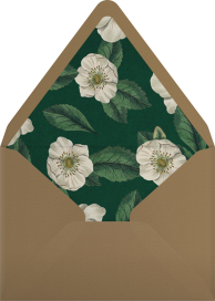 Campanulata - John Derian Envelope