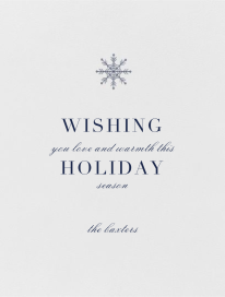 Descartes Fixed - Holiday Card by Paperless Post