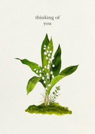 Convallaria Majalis - Thinking of You Card by Felix Doolittle