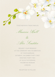 Orchid Branch by Felix Doolittle