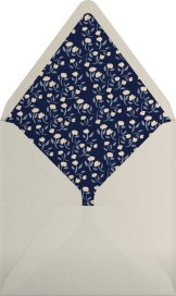 Santa Fe - Paperless Post Envelope