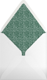 Holly on the Banister - Mr. Boddington's Studio Envelope