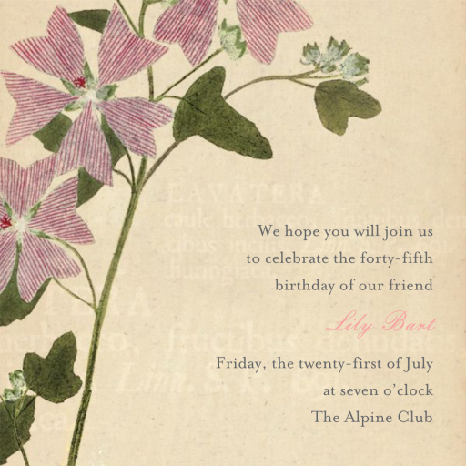 Lavatera by John Derian