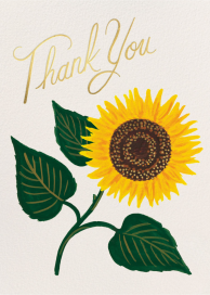 Sunflower Thank You - Thank You Card by Rifle Paper Co.