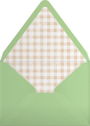 Vichy Check - Paperless Post Envelope