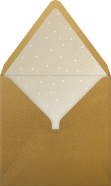 Snowflake Cutout - Paperless Post Envelope