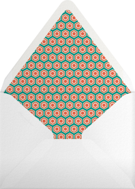 What an Elegant Turkey - Mr. Boddington's Studio Envelope