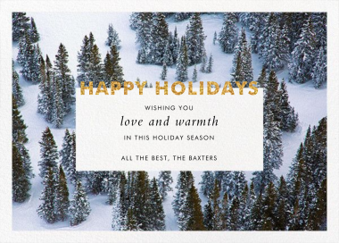 Winter Trees - Holiday Card by Gray Malin
