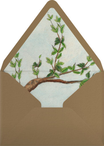 Fern Bouquet - John Derian Envelope