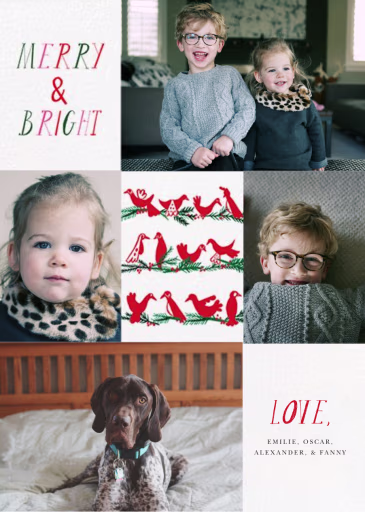 Peace Birds (Multi-Photo) - Christmas Card by Mr. Boddington's Studio