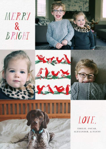 Peace Birds (Multi-Photo) - Christmas Card by Mr. Boddington's Studio