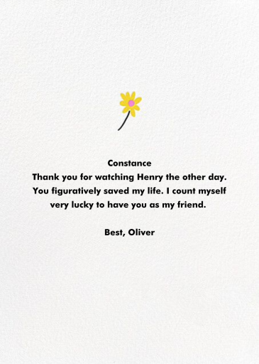 Turtle Love by Hello!Lucky - Back