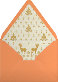 Aashna - Anita Dongre Envelope