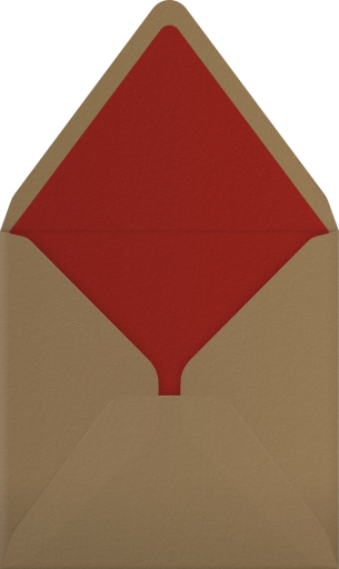 Striped Carnations - John Derian Envelope