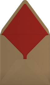 Striped Carnations - John Derian Envelope