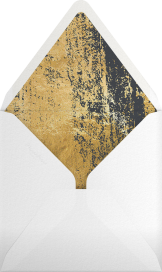 Bolso de mano - Kelly Wearstler Envelope