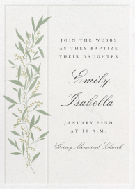 Untamed Grace - Baptism & Christening Invitation by Paperless Post
