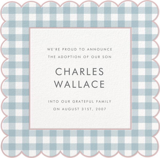 Gingham Shower Photo - Adoption Announcement by Meri Meri - Back