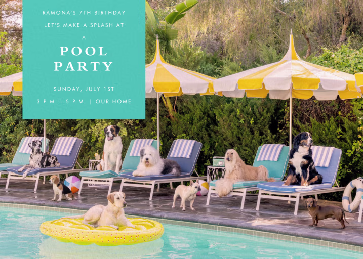 Pool Pups - Birthday Invitation by Gray Malin