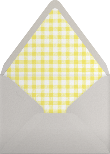 Vichy Check - Paperless Post Envelope
