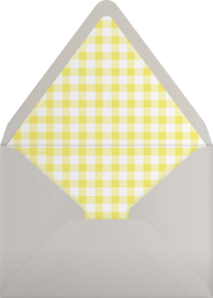 Vichy Check - Paperless Post Envelope