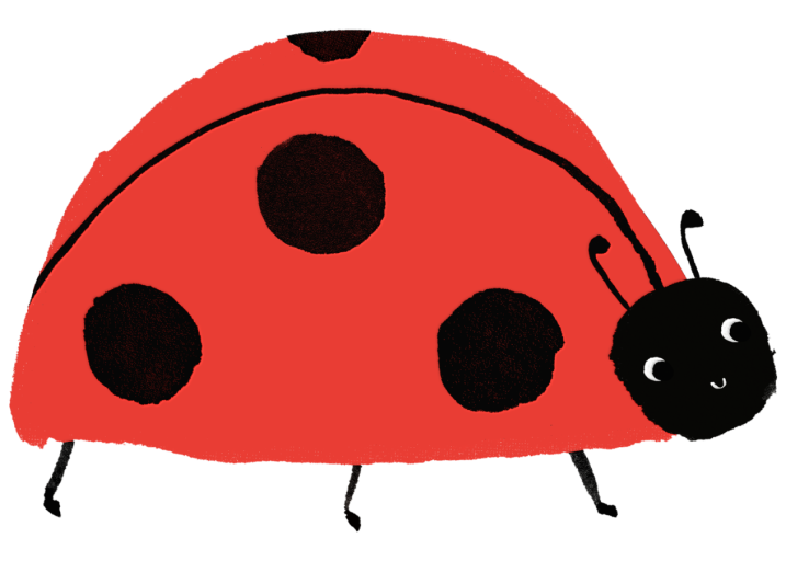 Ladybug Bash by Meri Meri