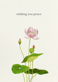 Lotus Flower - Greeting Card by Felix Doolittle