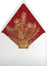 Winter Berries - Paperless Post Envelope