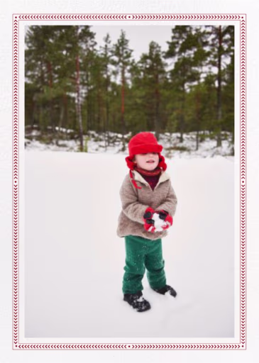 Bristlecone - Christmas Card by Paperless Post