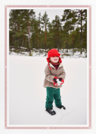 Bristlecone - Christmas Card by Paperless Post