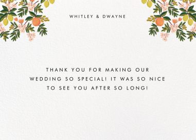 Citrus Orchard Suite (Stationery) by Rifle Paper Co.