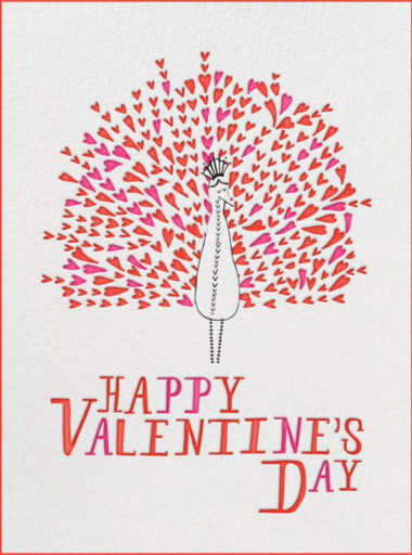 Peacock valentine by Mr. Boddington's Studio