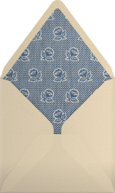 Chenille - Schumacher Envelope