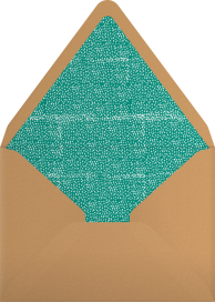 Air Mail - Mr. Boddington's Studio Envelope