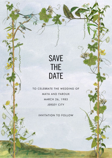 Blue Jays by Stephanie Fishwick