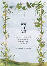 Blue Jays by Stephanie Fishwick