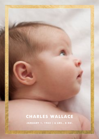 Perfect Portrait - Birth Announcement by Paperless Post