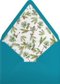 Full-Page Photo Horizontal (Double-Sided) - Paperless Post Envelope