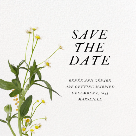 Rhone (Save the Date) by Paperless Post