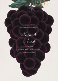 Labrusca by John Derian