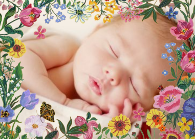 Precieuse - Baby Shower Invitation by Nathalie Lété