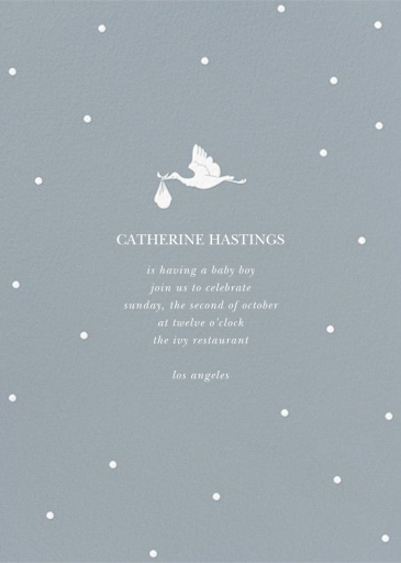 Here Comes the Stork - Baby Shower Invitation by Sugar Paper