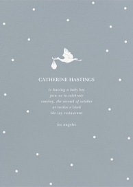 Here Comes the Stork - Baby Shower Invitation by Sugar Paper