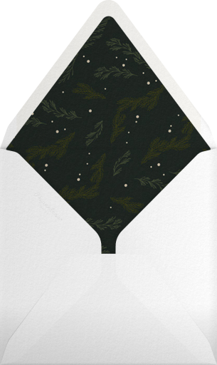 Triple Interior Border (Photo) - Paperless Post Envelope