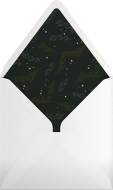 Triple Interior Border (Photo) - Paperless Post Envelope