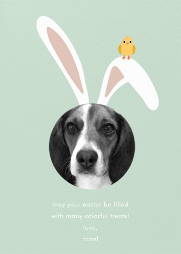 Bunny Ears - Greeting Card by Paperless Post