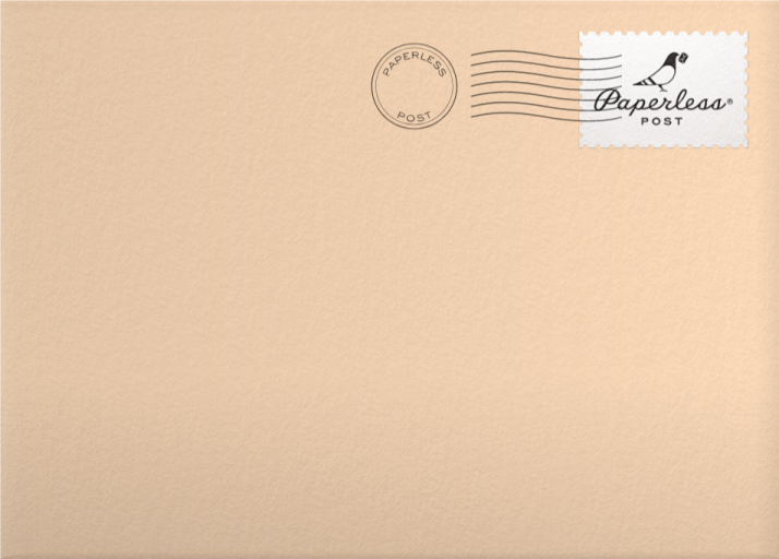 Turkey Feathers - Crate & Barrel Envelope