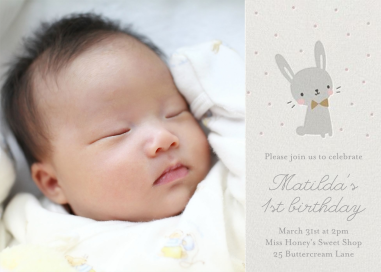 Baby Bunny Photo by Little Cube